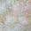 Coral color or pattern variation