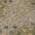 Taupe color or pattern variation