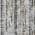 Silver color or pattern variation