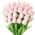 Pink color or pattern variation