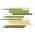 Yellow/Green color or pattern variation