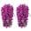 Pink color or pattern variation
