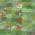 Green color or pattern variation
