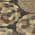 Brown color or pattern variation