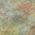 Green color or pattern variation