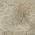 Beige color or pattern variation