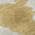 Gold color or pattern variation