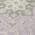 Lavender color or pattern variation