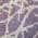 Purple color or pattern variation