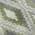 Fern color or pattern variation