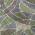 Green color or pattern variation