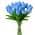 Blue color or pattern variation