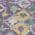 Purple color or pattern variation