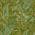 Green color or pattern variation
