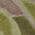Taupe color or pattern variation