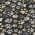 Black color or pattern variation