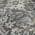 Gray color or pattern variation