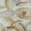Ivory color or pattern variation