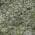 Green color or pattern variation