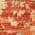 Brick color or pattern variation