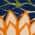 Multicolor color or pattern variation