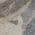 Gray color or pattern variation