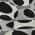 Black color or pattern variation