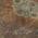Brown color or pattern variation