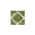 Green/Ivory color or pattern variation