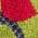 Navy color or pattern variation