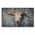 Dark Vintage Cow Skull color or pattern variation