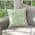 Quietude- Sage Green color or pattern variation