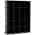Black color or pattern variation