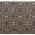 Primitive Black, Tan color or pattern variation