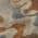 Brown color or pattern variation