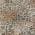 Beige color or pattern variation