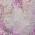 Pink color or pattern variation
