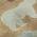 Gold color or pattern variation