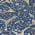 Navy color or pattern variation