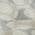 Ivory color or pattern variation