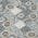 Gray color or pattern variation