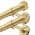 Gold color or pattern variation
