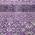 Purple color or pattern variation