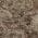 Brown color or pattern variation