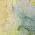 Yellow color or pattern variation