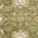 Olive Green color or pattern variation