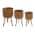 Brown color or pattern variation