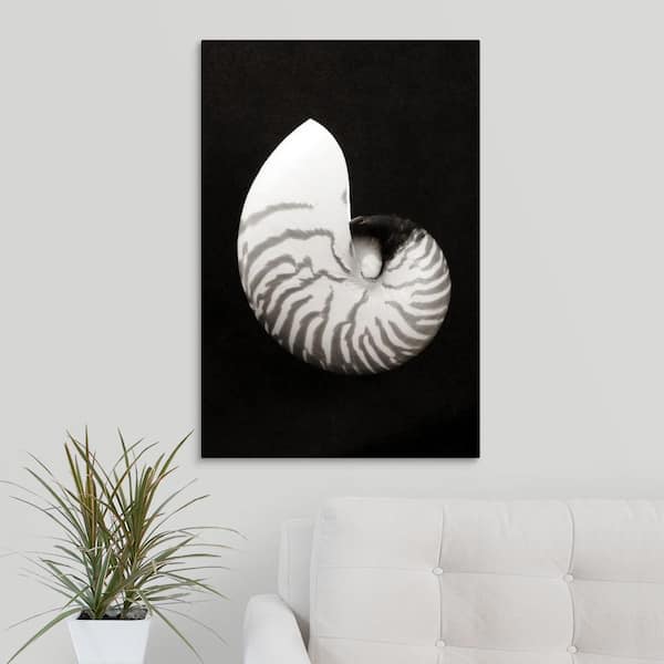 Greatbigcanvas Close Up Of Chambered Nautilus Shell On Black Background By Bill Brennan Canvas Wall Art 24 x30 The Home Depot