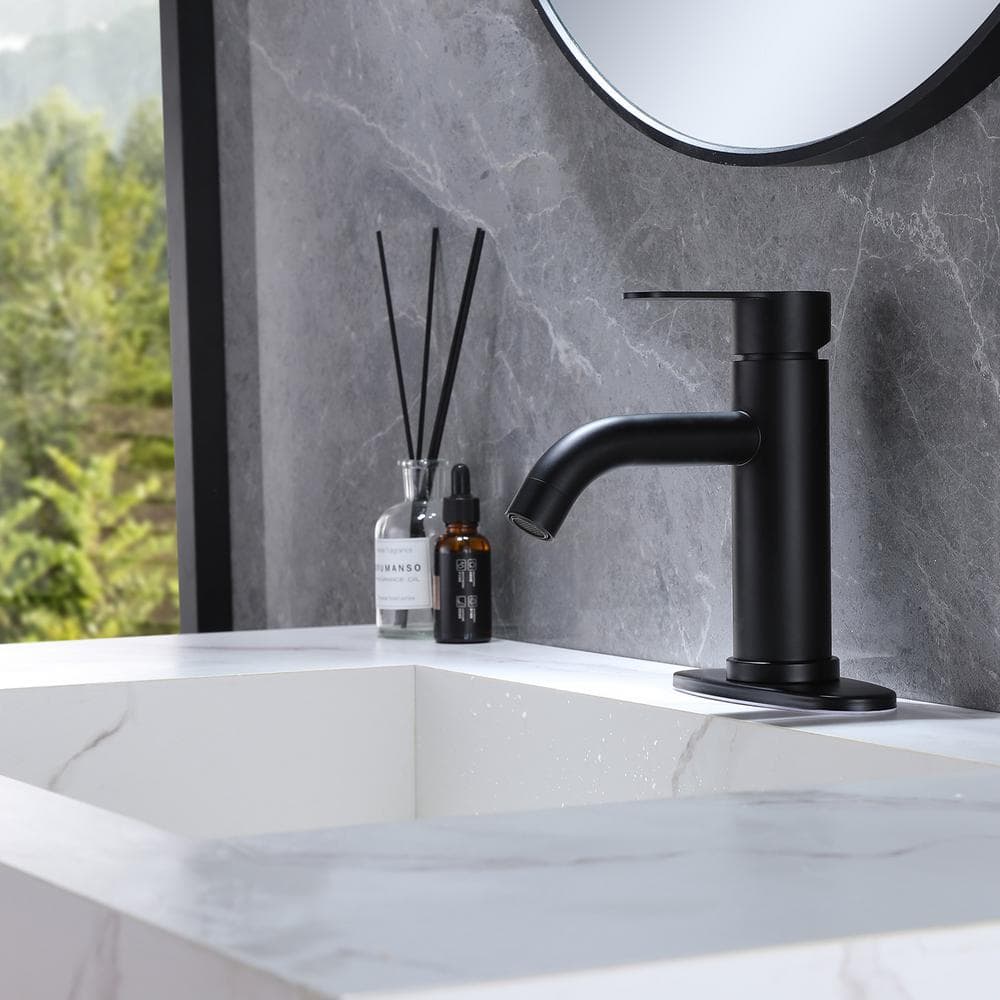 Matte Black Stainless Steel Single-Handle Bathroom Faucet