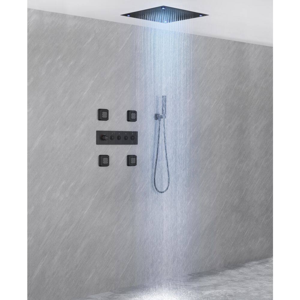 Luxury Single Handle 2-Spray Shower Faucet 1.8 GPM with 20 in. LED Rainfall Head and Body Jets in Matte Black price history on PriceWatchPro